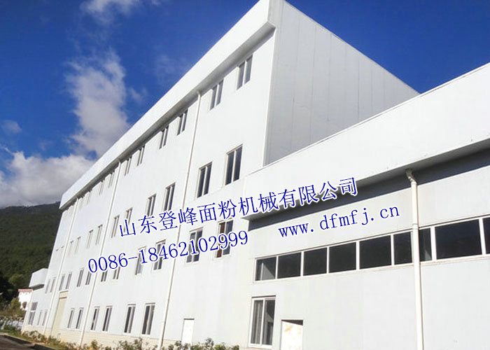 面粉廠社會(huì)實(shí)踐報(bào)告精選